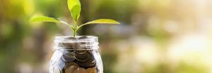 MCVLP-Header-Image-_0001_Donate